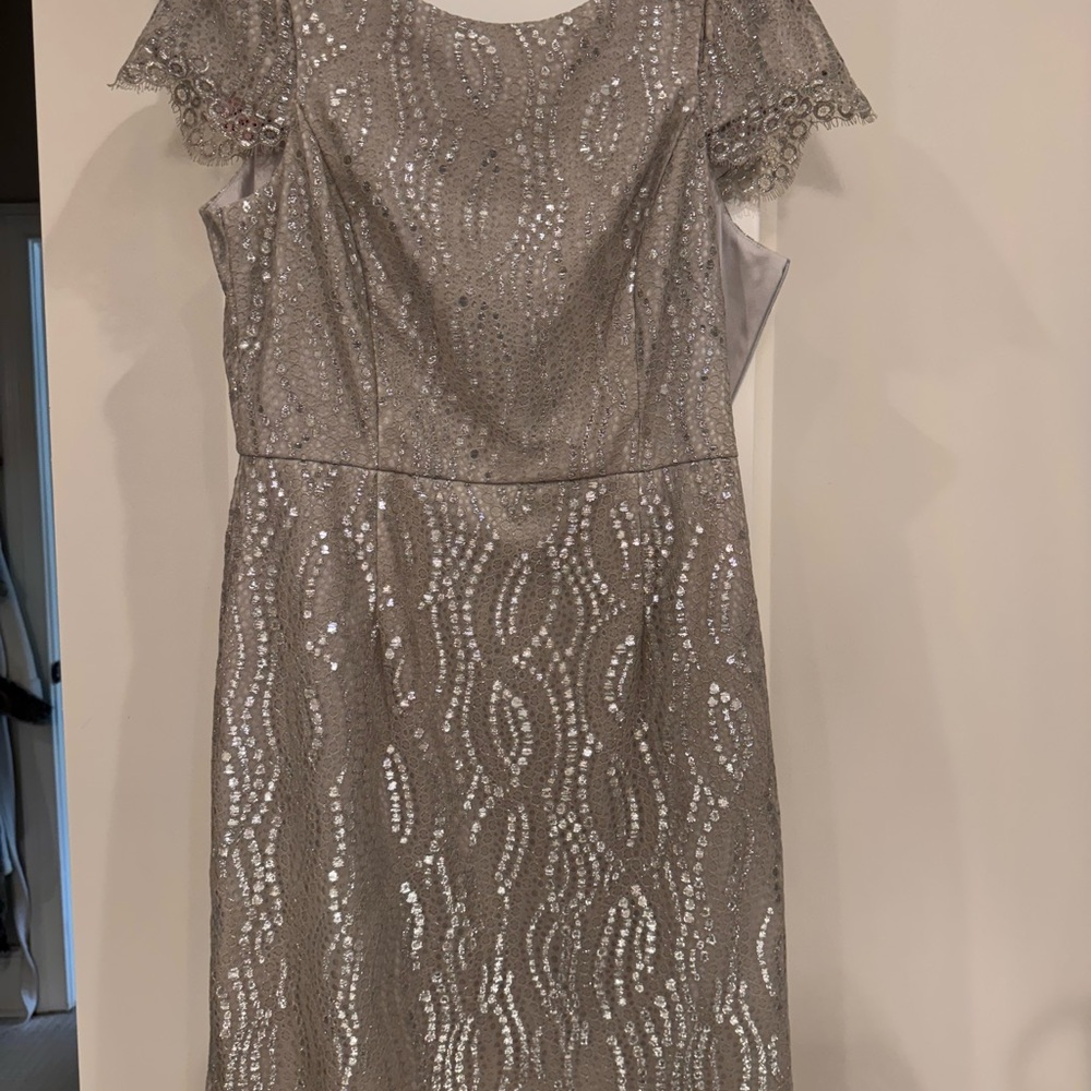 Elegant Silver Lace Dress